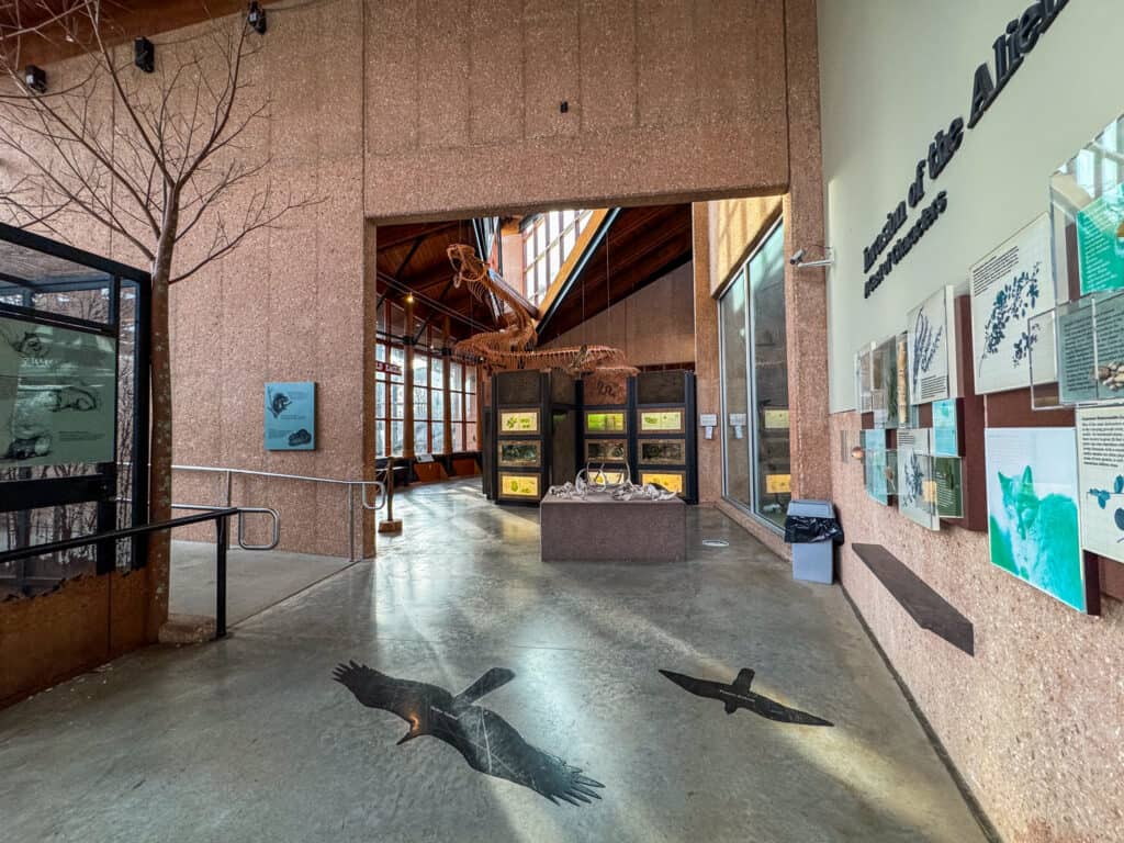 entrance of nature center in kansas city with eagle stickers on the floor