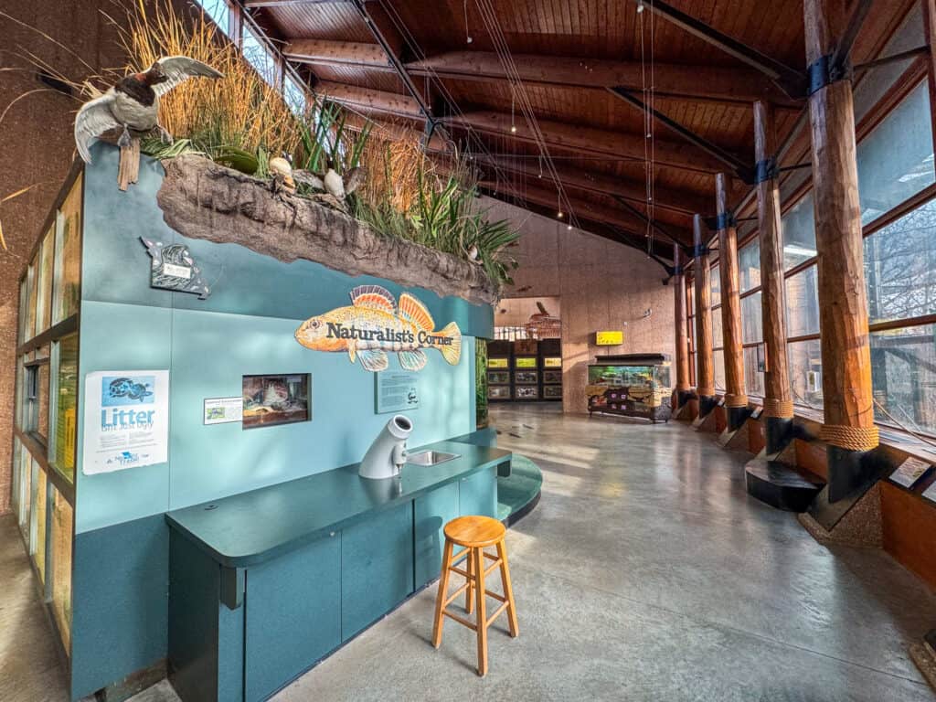 naturalist corner exhibit at the lakeside nature center in kansas city