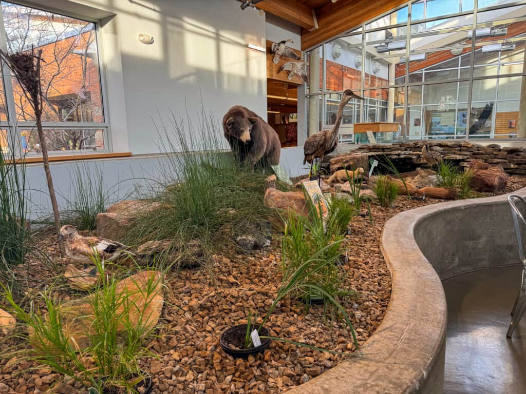 fake animals in a landscape indoors at the anita b gorman nature center in kansas city